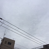 今日の予約状況　１０月２８日（金）　曇りのち雨　最高気温１８℃サムネイル