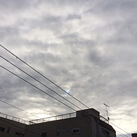 今日の予約状況　１１月２５日（金）　曇りのち晴れ　最高気温１４℃サムネイル