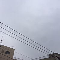 鍼灸予約　1月20日(金) 曇りのち雪　最高気温11℃　(京都の鍼灸院　泰楽）サムネイル