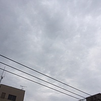 鍼灸予約　2月20日(月) 曇りのち雨　最高気温15℃　(京都の鍼灸院　泰楽）サムネイル