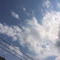 鍼灸予約　3月2日(木) 曇りのち晴れ　最高気温14℃　(京都の鍼灸院　泰楽）サムネイル