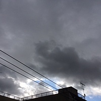鍼灸予約　3月7日(火) 曇りのち晴れ　最高気温10℃　(京都の鍼灸院　泰楽）サムネイル