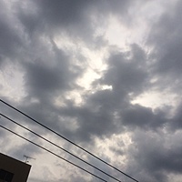 鍼灸予約　3月13日(月) 曇り　最高気温14℃　(京都の鍼灸院　泰楽）サムネイル