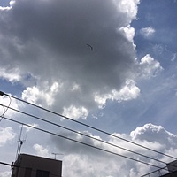 鍼灸予約 7月7日(金) 曇り一時雨 最高気温31℃(京都の鍼灸院　泰楽)サムネイル