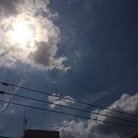 鍼灸予約 7月15日(土) 晴れのち曇り 最高気温36℃(京都の鍼灸院　泰楽)サムネイル