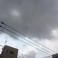 鍼灸予約 7月31日(月) 曇り時々晴れ 最高気温36℃(京都の鍼灸院　泰楽)サムネイル