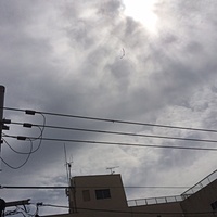 鍼灸予約 9月4日(月) 晴れのち曇り 最高気温31℃(京都の鍼灸院　泰楽)サムネイル
