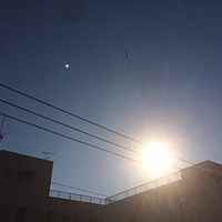鍼灸予約 11月28日(火) 晴れ 最高気温18℃(京都の鍼灸院　泰楽)サムネイル