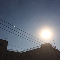 鍼灸予約 12月19日(火) 曇りのち晴れ 最高気温10℃(京都の鍼灸院　泰楽)サムネイル