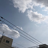 鍼灸予約 2月22日(木) 曇りのち晴れ 最高気温10℃(京都の鍼灸院　泰楽)サムネイル