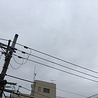 鍼灸予約 3月19日(月) 雨 最高気温16℃(京都の鍼灸院　泰楽)サムネイル
