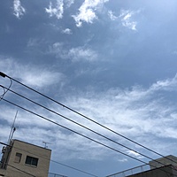 鍼灸予約 5月14日(月) 晴れ 最高気温26℃(京都の鍼灸院　泰楽)サムネイル