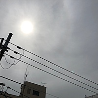鍼灸予約 5月26日(土) 晴れのち曇り 最高気温31℃(京都の鍼灸院　泰楽)サムネイル