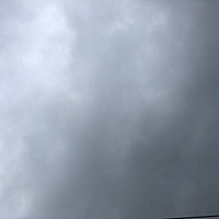 鍼灸予約 6月15日(金) 曇りのち雨 最高気温22℃(京都の鍼灸院　泰楽)サムネイル