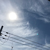 鍼灸予約 6月30日(土) 曇りのち雨 最高気温31℃(京都の鍼灸院　泰楽)サムネイル