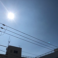 鍼灸予約 8月3日(金) 晴れ 最高気温38℃(京都の鍼灸院　泰楽)サムネイル