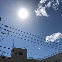 鍼灸予約 8月17日(金) 晴れ 最高気温32℃(京都の鍼灸院　泰楽)サムネイル