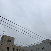 鍼灸予約 9月21日(金) 雨時々止む 最高気温26℃(京都の鍼灸院　泰楽)サムネイル