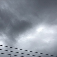 鍼灸予約 9月22日(土) 曇りのち晴れ 最高気温28℃(京都の鍼灸院　泰楽)サムネイル