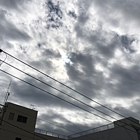 鍼灸予約 9月26日(水) 晴れのち雨 最高気温25℃(京都の鍼灸院　泰楽)サムネイル