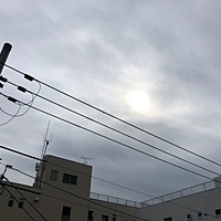 鍼灸予約 10月4日(金) 曇り 最高気温26℃(京都の鍼灸院　泰楽)サムネイル