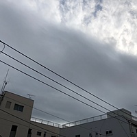 鍼灸予約 11月5日(月) 晴れのち曇り 最高気温22℃(京都の鍼灸院　泰楽)サムネイル