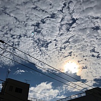 鍼灸予約 11月6日(火) 曇りのち晴れ 最高気温22℃(京都の鍼灸院　泰楽サムネイル