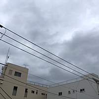 鍼灸予約 11月19日(月) 雨のち曇り 最高気温16℃(京都の鍼灸院　泰楽)サムネイル