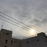 鍼灸予約 12月10日(月) 曇りのち晴れ 最高気温10℃(京都の鍼灸院　泰楽)サムネイル