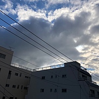 鍼灸予約 12月13日(木) 曇りのち晴れ 最高気温10℃(京都の鍼灸院　泰楽)サムネイル