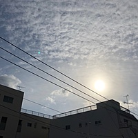 鍼灸予約 12月27日(木) 曇り 最高気温10℃(京都の鍼灸院　泰楽)サムネイル