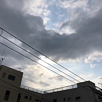 鍼灸予約 3月1日(金) 雨のち曇り 最高気温11℃(京都の鍼灸院 泰楽)サムネイル