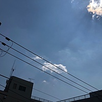 鍼灸予約 4月4日(木) 晴れ 最高気温16℃(京都の鍼灸院 泰楽)サムネイル