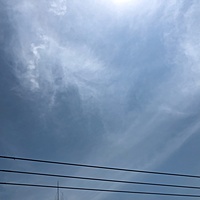 鍼灸予約 5月13日(月) 晴れのち曇り 最高気温28℃(京都の鍼灸院 泰楽)サムネイル