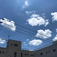 鍼灸予約 6月13日(木) 晴れ 最高気温27℃(京都の鍼灸院 泰楽)サムネイル