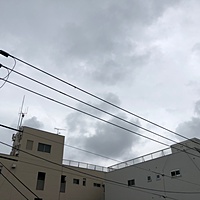 鍼灸予約 7月2日(火) 雨のち曇り 最高気温29℃(京都の鍼灸院 泰楽)サムネイル