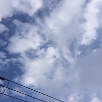 今日の予約　１月７日（木）　曇りのち晴れ　最高気温１０℃サムネイル