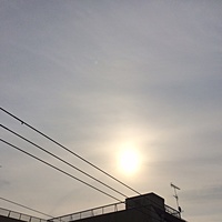 今日の予約　１月８日（金）　曇り　最高気温１１℃サムネイル