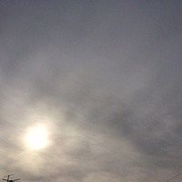 臨時休診　　２月６日（土）　曇り　最高気温１１℃サムネイル