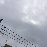 今日の予約　2月１３日（土）　曇りのち雨　最高気温１７℃サムネイル