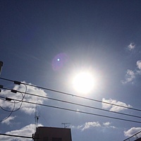 今日の予約　３月１１日（金）　晴れのち曇り　最高気温１１℃サムネイル