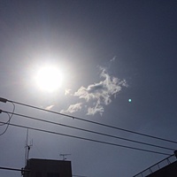 今日の予約　４月１５日（金）　晴れ　最高気温１８度サムネイル