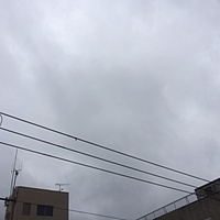 今日の予約　４月２８日（木）　曇りのち雨　最高気温２１℃サムネイル