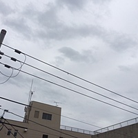 今日の予約　５月６日（金）　曇りのち雨　最高気温２０℃サムネイル
