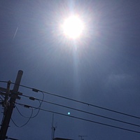 今日の予約　５月１３日（金）　晴れ　最高気温２８℃サムネイル