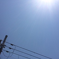 今日の予約　５月２０日（金）　晴れ　最高気温２９℃サムネイル
