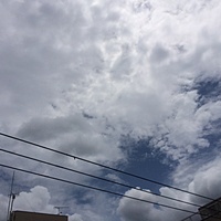今日の予約　６月９日（木）　曇り　最高気温２７℃サムネイル