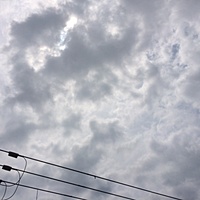 今日の予約　６月１５日（水）　曇り　最高気温３２℃サムネイル