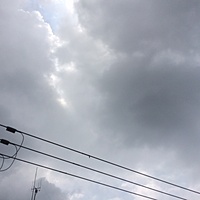 今日の予約　６月１７日（金）　曇り　最高気温２９℃サムネイル