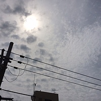今日の予約　６月２４日（金）　曇りのち雨　最高気温２８℃サムネイル